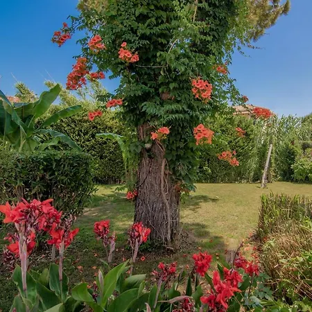 Rivulet Appartement *